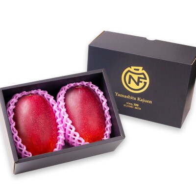 山下果樹園完熟マンゴー2玉900g(贈答用)宮崎県産完熟マンゴー/西都市産【先行受付】[2700]