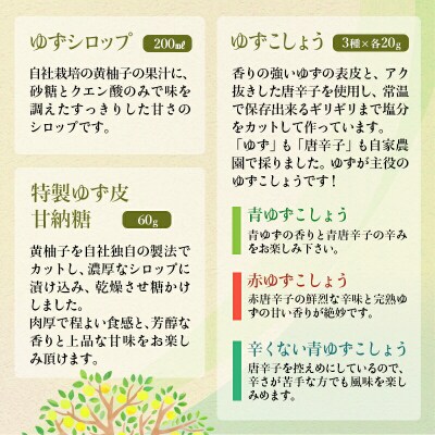 「銀の柚子」製品詰め合わせ　宮崎県西都市産 ゆず[2738]