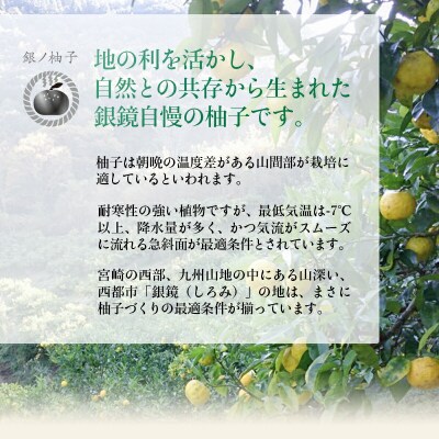 「銀の柚子」製品詰め合わせ　宮崎県西都市産 ゆず[2738]