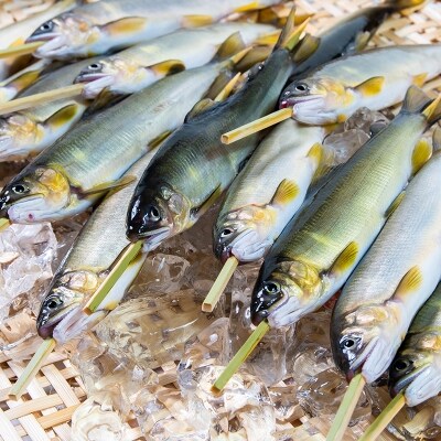 鮎の塩焼き・鮎の甘露煮(冷凍) 宮崎県西都市産鮎[2747]
