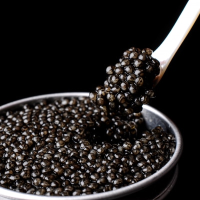 12月発送MIYAZAKI CAVIAR 1983 贅沢食べ比べセット20g×2キャビア[2756]