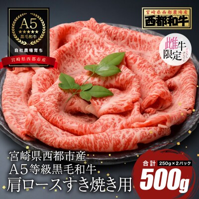 【A5等級黒毛和牛】肩ロースすき焼き(250g×2)宮崎県産 カミチクファーム[2703]