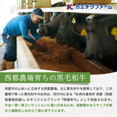 【A5等級黒毛和牛】食べ比べ焼肉(200g×3)宮崎県産 カミチクファーム[2707]