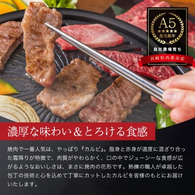 【A5等級黒毛和牛】カルビ焼肉(200g×3)宮崎県産 カミチクファーム[2708]