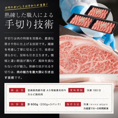 【A5等級黒毛和牛】カルビ焼肉(200g×3)宮崎県産 カミチクファーム[2708]