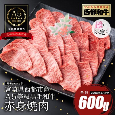 【A5等級黒毛和牛】赤身焼肉(200g×3)宮崎県産 カミチクファーム[2705]