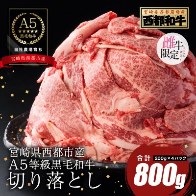 【A5等級黒毛和牛】切り落とし(200g×4)宮崎県産 カミチクファーム[2702]
