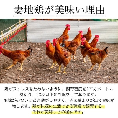 【父の日ギフト】地鶏たたき もも&むねセット【妻地鶏タタキ】[1490]