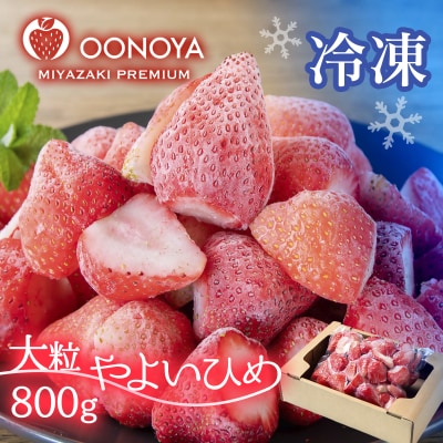 苺大野屋「やよいひめ」完熟瞬間冷凍苺　宮崎県西都市[2682]
