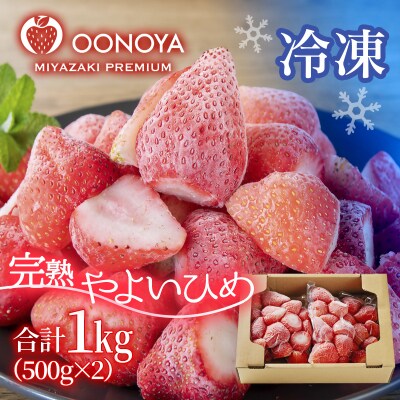 苺大野屋「やよいひめ」完熟瞬間冷凍苺　冷凍いちご宮崎県西都市産[3228]