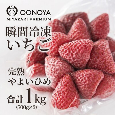 苺大野屋「やよいひめ」完熟瞬間冷凍苺　冷凍いちご宮崎県西都市産[3228]