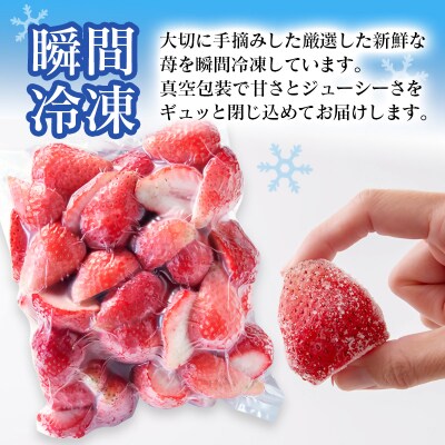 苺大野屋「やよいひめ」完熟瞬間冷凍苺　宮崎県西都市[2682]