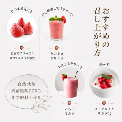 苺大野屋「やよいひめ」完熟瞬間冷凍苺　冷凍いちご宮崎県西都市産[3228]