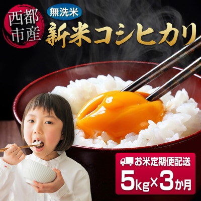 8月より発送【3ヶ月定期便】新米コシヒカリ無洗米 5kg×3回 令和8年産宮崎県西都市[3251]