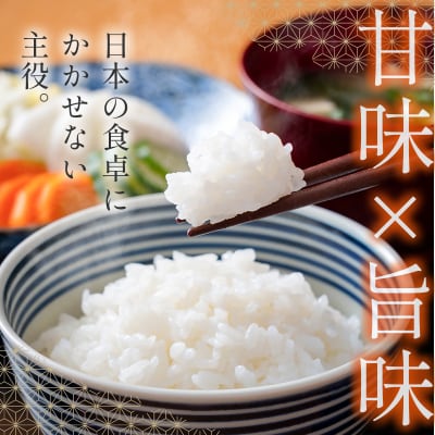 8月より発送【3ヶ月定期便】新米コシヒカリ無洗米 5kg×3回 令和7年産宮崎県西都市[2861]