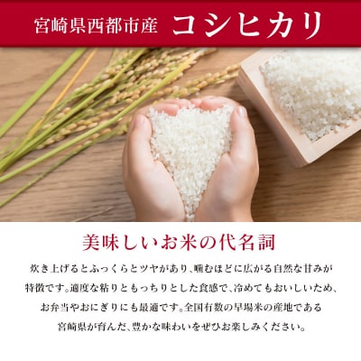 8月より発送【3ヶ月定期便】新米コシヒカリ無洗米 5kg×3回 令和8年産宮崎県西都市[3251]