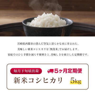 8月より発送【5ヶ月定期便】 新米コシヒカリ無洗米 5kg×5回令和8年産宮崎県西都市産[3252]