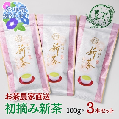 【お中元ギフト】お茶農家直送　初摘み新茶3本セット　さえみどり[3165]