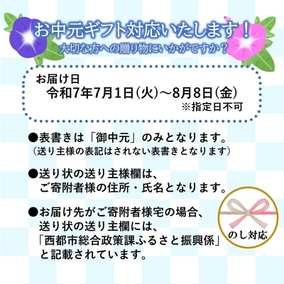 【お中元ギフト】宮崎牛赤身スライス800g　すき焼き/しゃぶしゃぶ(ウデ肉モモ肉)y[2648]