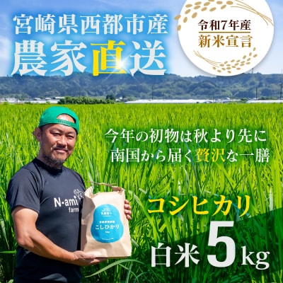 【令和7年産新米・先行受付】こしひかり 5kg　※8月上旬以降順次発送予定　精米済み [2590]