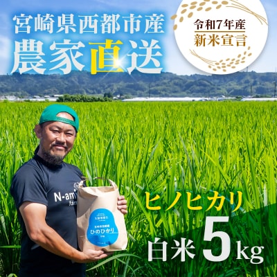 【令和7年産新米・先行受付】ひのひかり 5kg　※10月中旬以降順次発送予定　精米済み [2592]