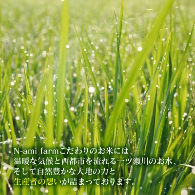 【令和8年産新米・先行受付】ひのひかり10kg　※10月中旬以降順次発送予定　精米済み [3220]