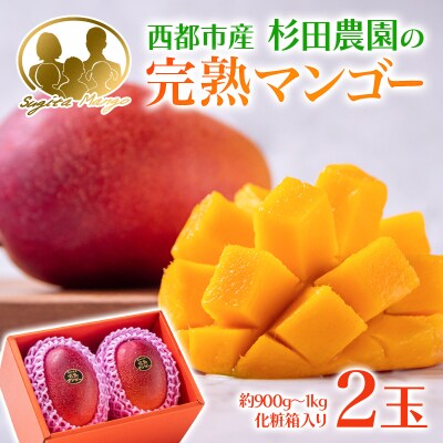 杉田農園完熟マンゴー 2玉 900g~1kg 化粧箱入 宮崎県西都市【先行受付】[2894]