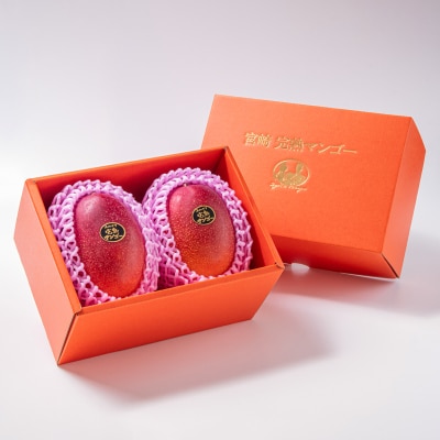 杉田農園完熟マンゴー 2玉 900g~1kg 化粧箱入 宮崎県西都市【先行受付】[2894]