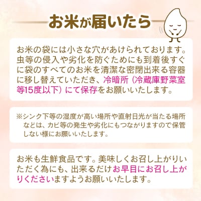 令和7年産 こしひかり5kg『この華米』[2877]