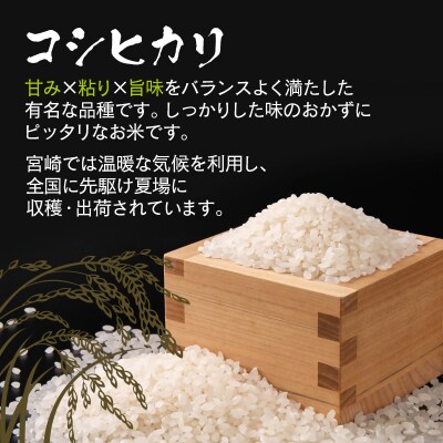 令和8年産 新米こしひかり5kg【3回定期便】『この華米』【先行受付】[2878]