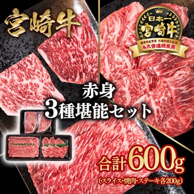 宮崎牛赤身堪能セット(スライス/焼肉/ステーキ)合計600g　ya[2726]