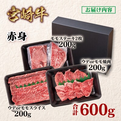 宮崎牛赤身堪能セット(スライス/焼肉/ステーキ)合計600g　ya[2726]