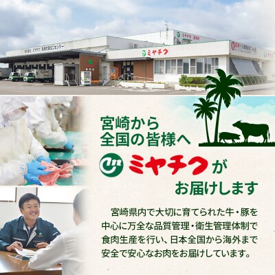 宮崎牛赤身堪能セット(スライス/焼肉/ステーキ)合計600g　ya[2726]