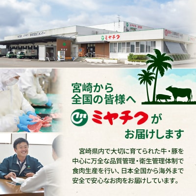 宮崎牛 訳あり切り落とし1kg  A4～A5等級 内閣総理大臣賞4連覇ya[2725]