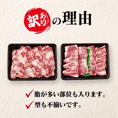 宮崎牛 訳あり切り落とし食べ比べ1kg  A4～A5等級 内閣総理大臣賞4連覇ya[2727]