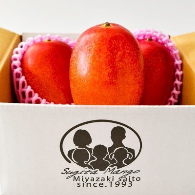 杉田農園完熟マンゴー1kg(2～3玉)訳ありご家庭用完熟マンゴー【先行受付】[2893]