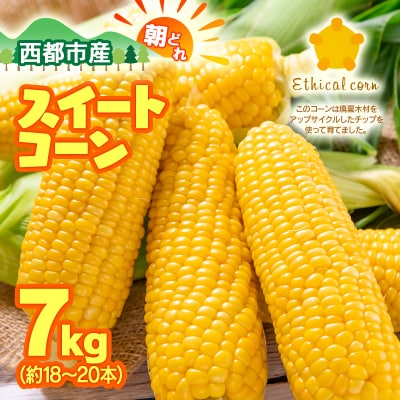 朝どれ スイートコーン ゴールドラッシュ7kg　西都市産とうもろこし【先行受付】