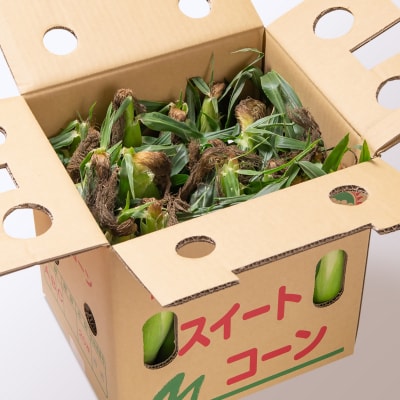 朝どれ スイートコーン ゴールドラッシュ7kg　西都市産とうもろこし【先行受付】[2743]