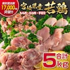 宮崎県産若鶏5kgセット もも肉 むね肉 手羽元[訳あり][2350]