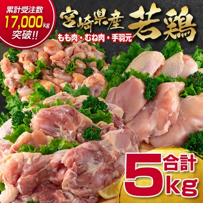 宮崎県産若鶏5kgセット もも肉 むね肉 手羽元[訳あり][2350]