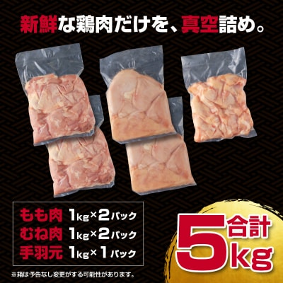 宮崎県産若鶏5kgセット もも肉 むね肉 手羽元[訳あり][2933]