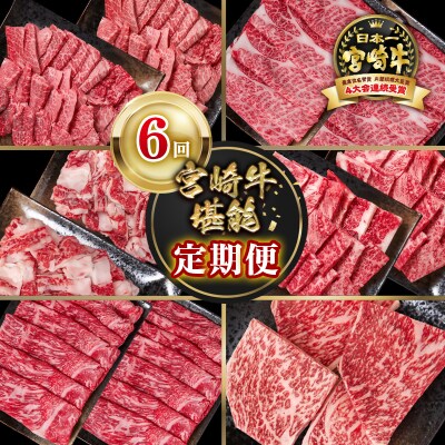【定期便】宮崎牛6回定期便 小分け A4～A5等級 内閣総理大臣賞4連覇ya[2950]