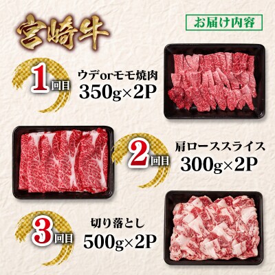 【定期便】宮崎牛6回定期便 小分け A4～A5等級 内閣総理大臣賞4連覇ya[2950]