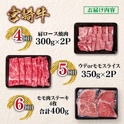 【定期便】宮崎牛6回定期便 小分け A4～A5等級 内閣総理大臣賞4連覇ya[2950]