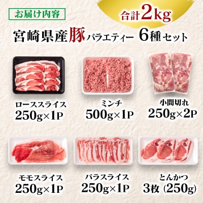 宮崎県産豚肉 6種バラエティ2kgセット小分け スライス/とんかつ/ミンチ/小間切れ[2870]