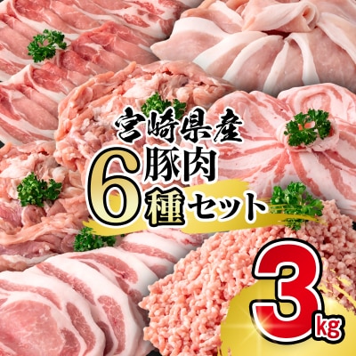 宮崎県産豚肉 6種バラエティ3kgセット小分け スライス/とんかつ/ミンチ/小間切れ[2943]
