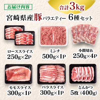宮崎県産豚肉 6種バラエティ3kgセット小分け スライス/とんかつ/ミンチ/小間切れ[2943]