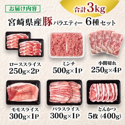 宮崎県産豚肉 6種バラエティ3kgセット小分けスライス/とんかつ/ミンチ等[2943]