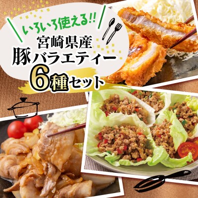 宮崎県産豚肉 6種バラエティ3kgセット小分けスライス/とんかつ/ミンチ等[2943]