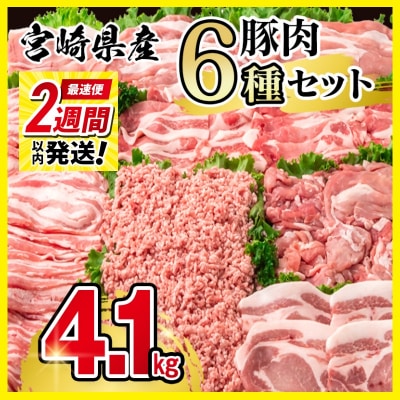 2週間発送!宮崎県産豚肉 6種バラエティ4.1kgセット小分け スライスとんかつミンチ等[2944]